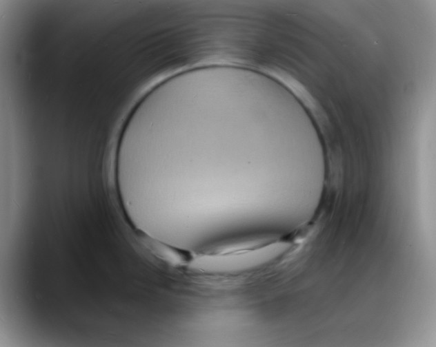 X0000088081246200706081723