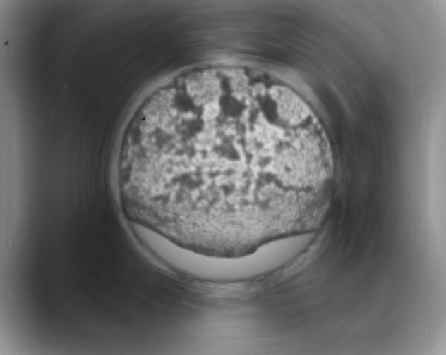X0000088081247200706081723