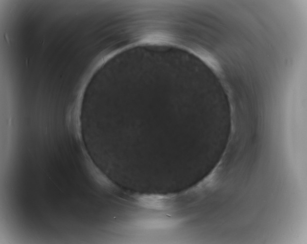 X0000088081248200706081723