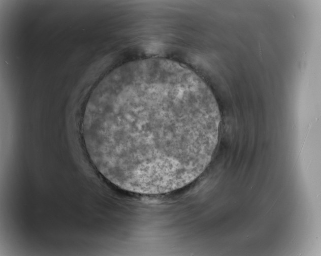 X0000088081249200706081723