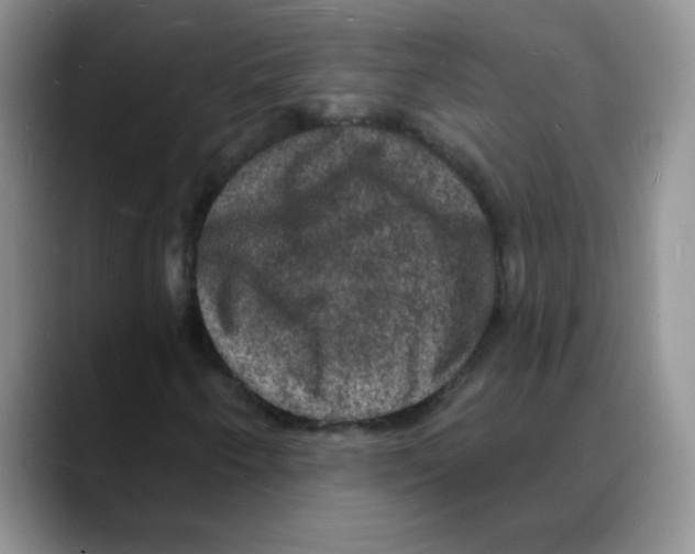 X0000088081250200706081722