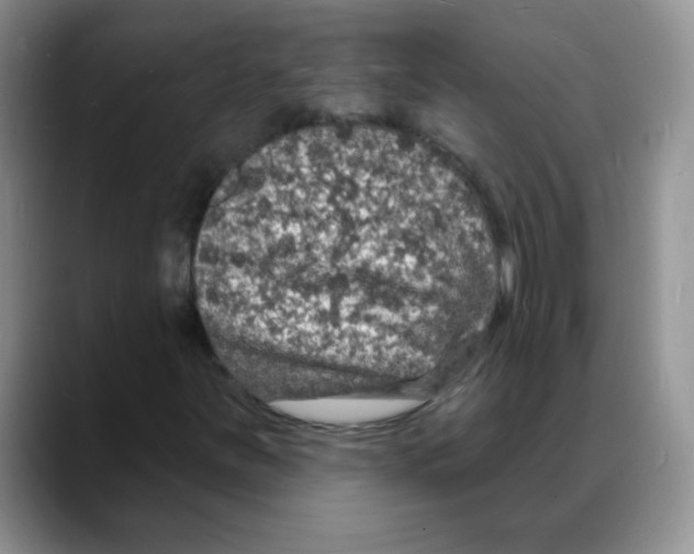 X0000088081251200706081722