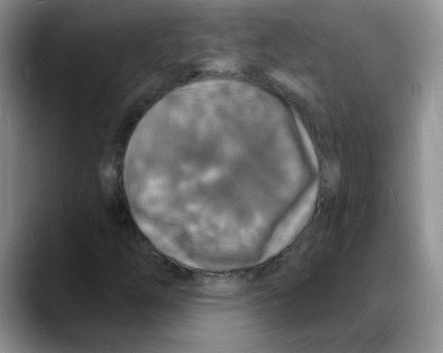X0000088081254200706081722