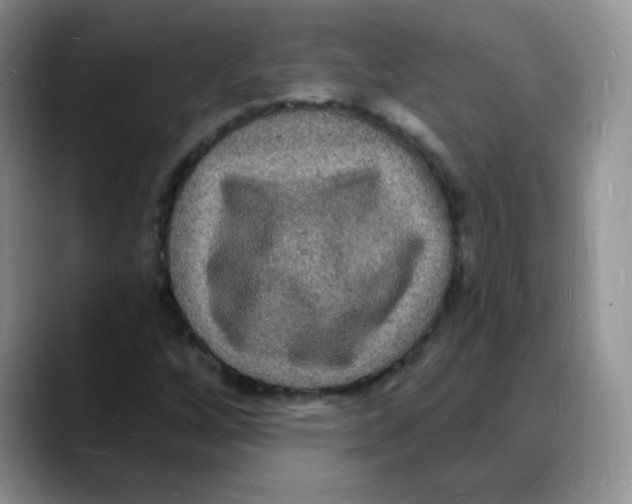 X0000088081256200706081722