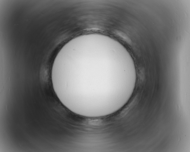 X0000088081258200706081722