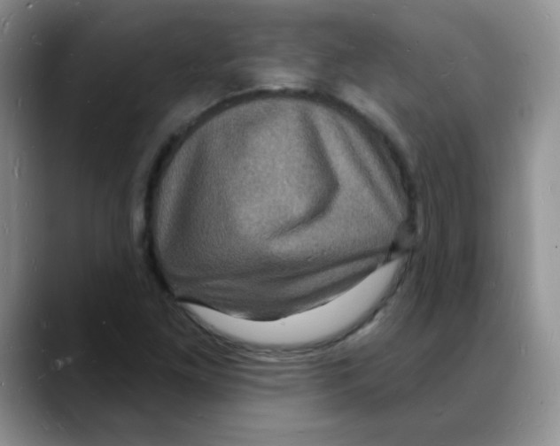 X0000088081261200706081722