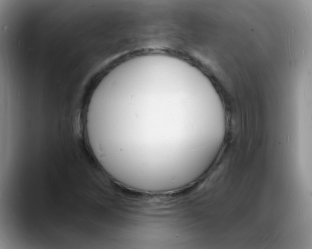 X0000088081262200706081722