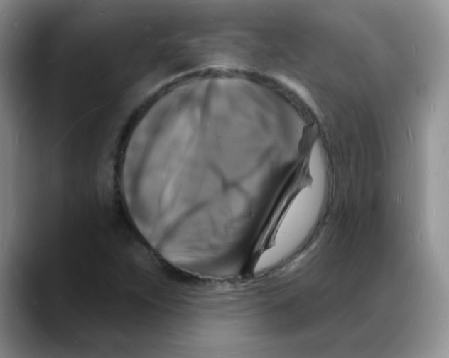 X0000088081263200706081722