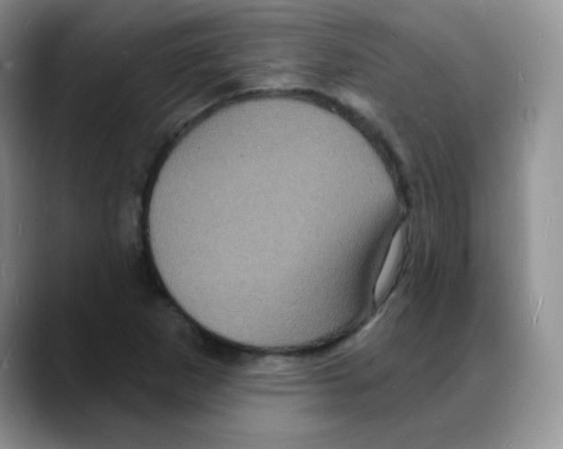 X0000088081265200706081722