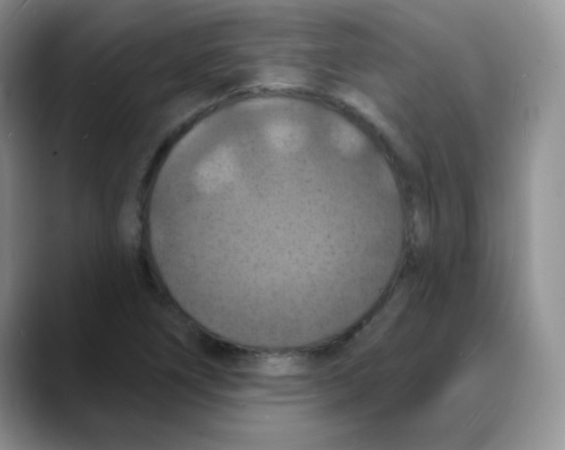 X0000088081266200706081722