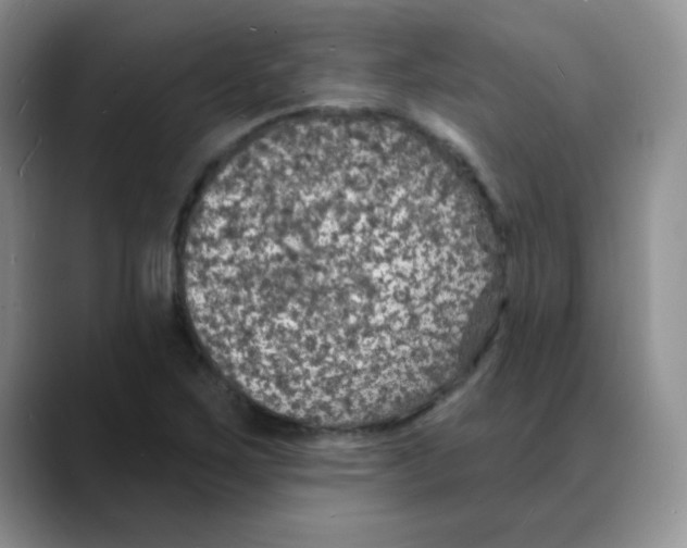 X0000088081267200706081722