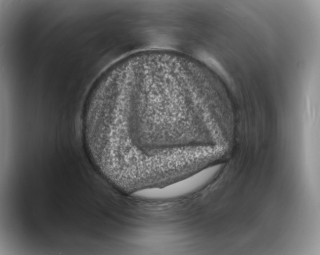 X0000088081268200706081722