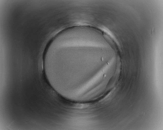 X0000088081269200706081722