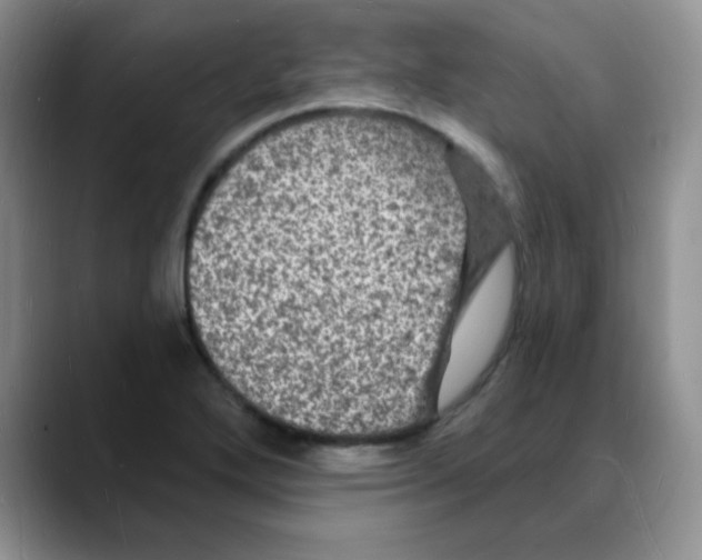 X0000088081272200706081722