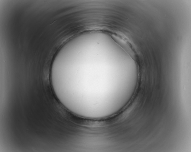 X0000088081273200706081722