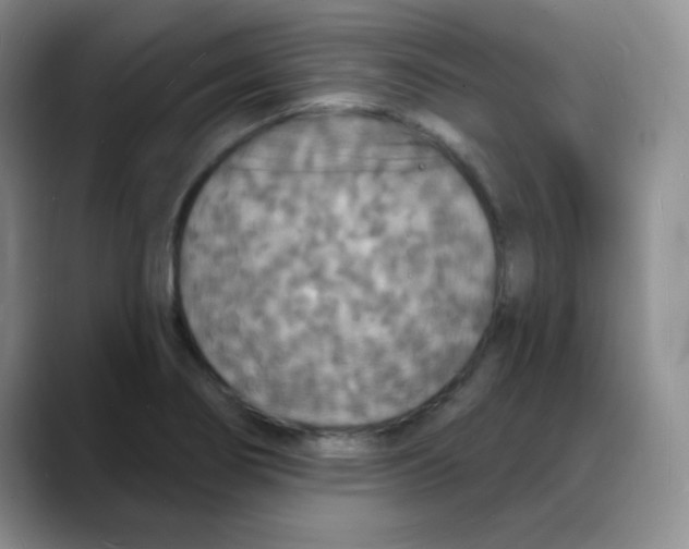 X0000088081274200706081722