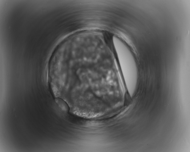 X0000088081275200706081722