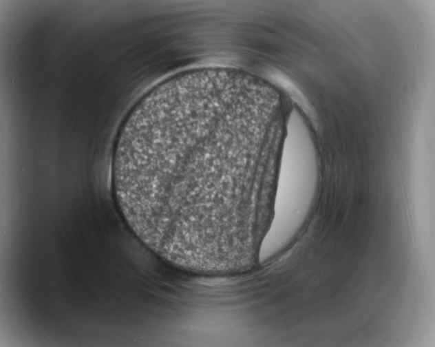 X0000088081276200706081722