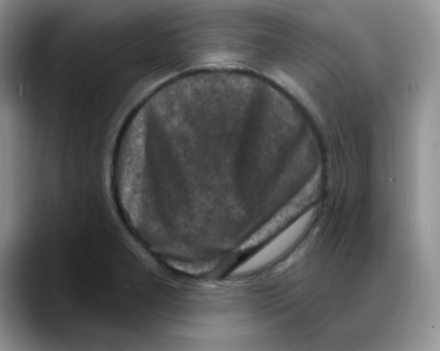 X0000088081277200706081722