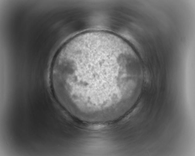 X0000088081278200706081722