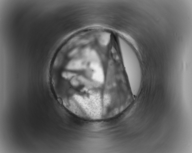 X0000088081279200706081722