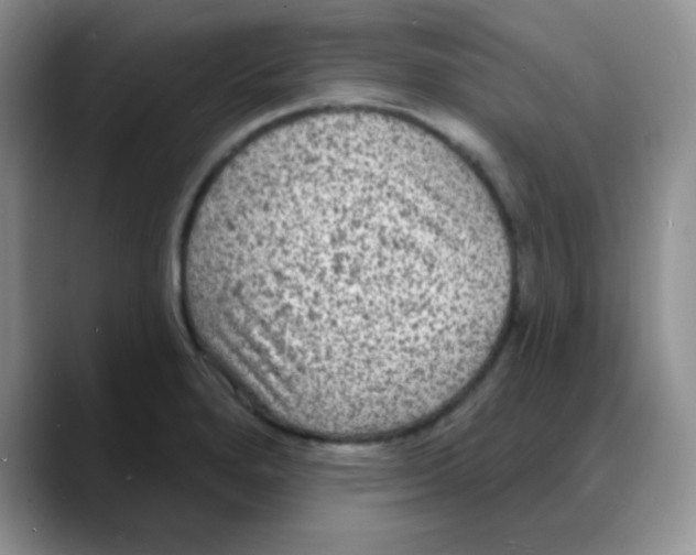 X0000088081280200706081722