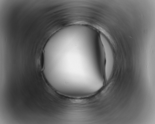 X0000088081281200706081722
