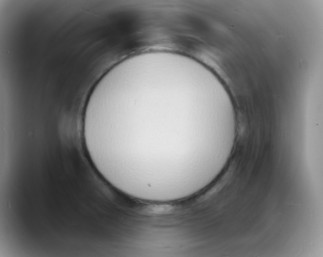 X0000088081282200706081722