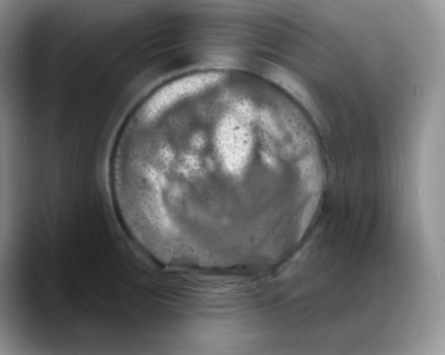X0000088081283200706081722