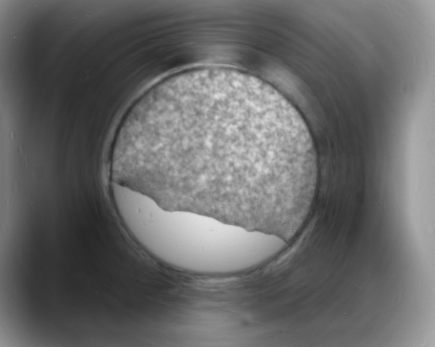 X0000088081284200706081722