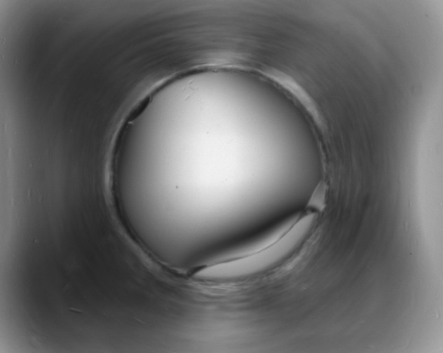X0000088081285200706081722