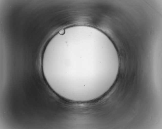 X0000088081286200706081722
