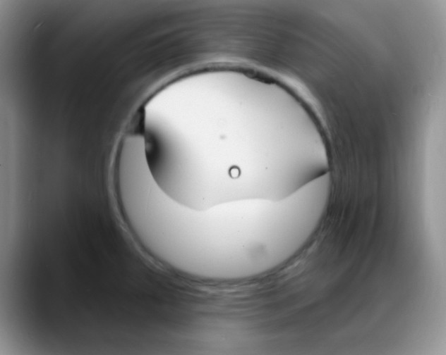 X0000088081287200706081722