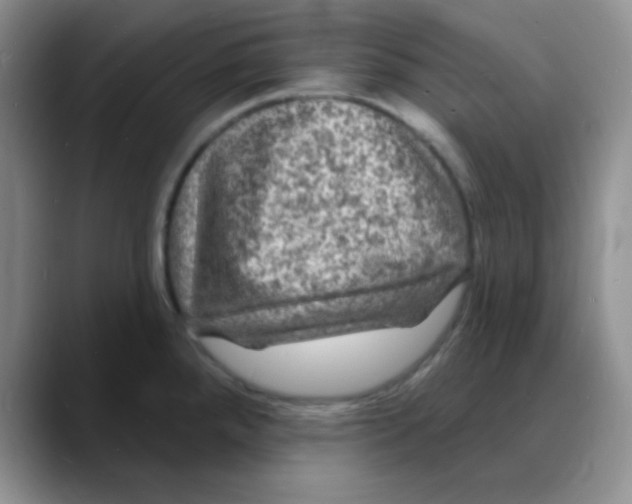 X0000088081288200706081722