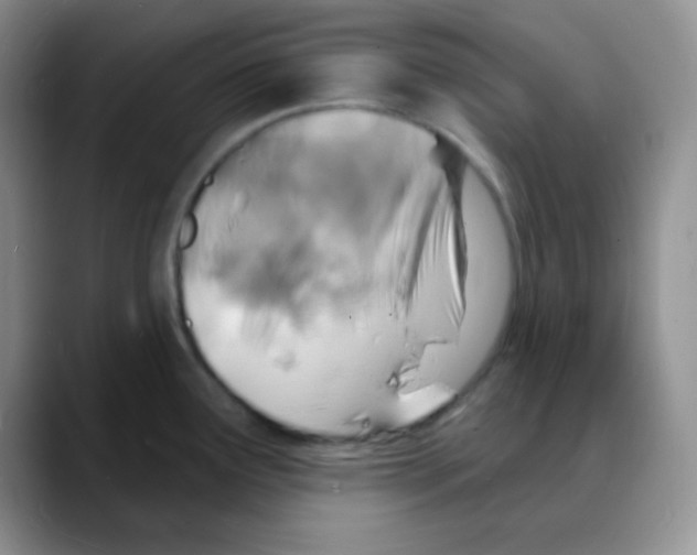 X0000088081291200706081722