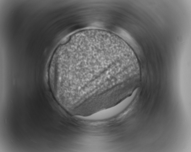 X0000088081292200706081722