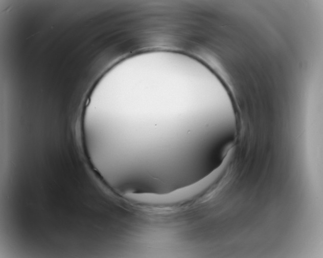 X0000088081293200706081722