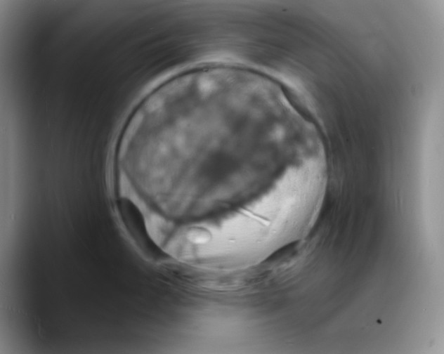 X0000088081295200706081722