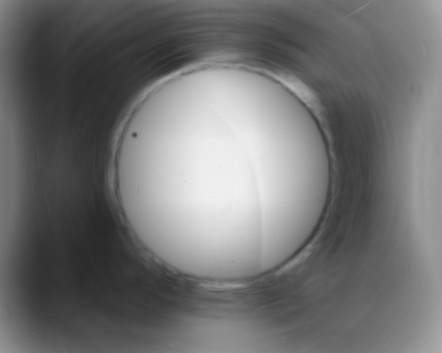 X0000088081296200706081722