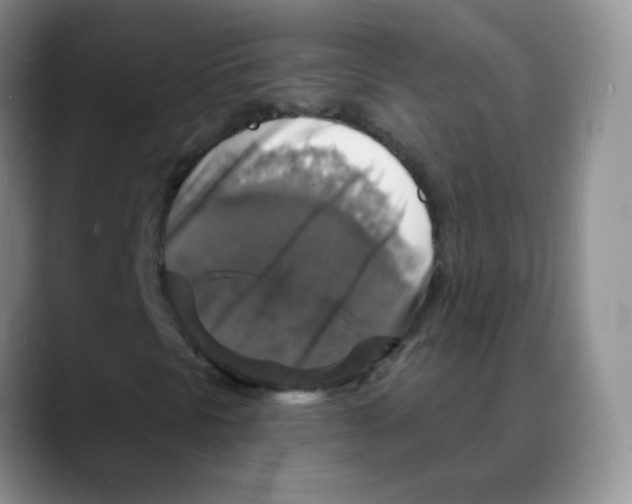 X0000088081297200706081721
