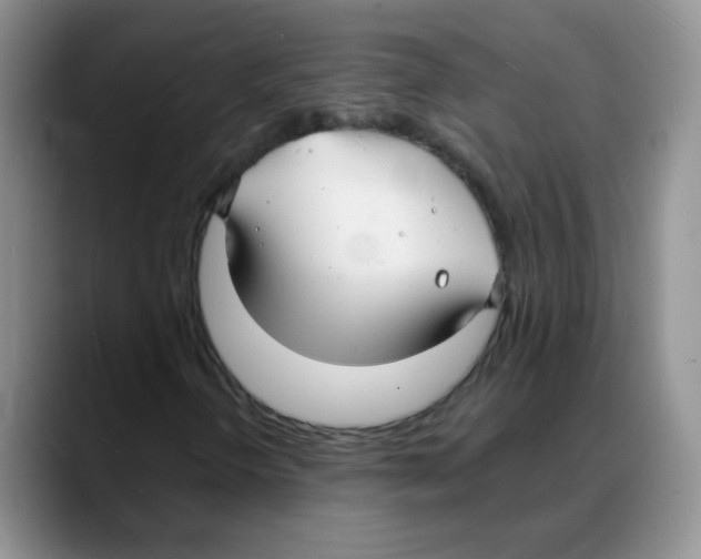 X0000088081298200706081721
