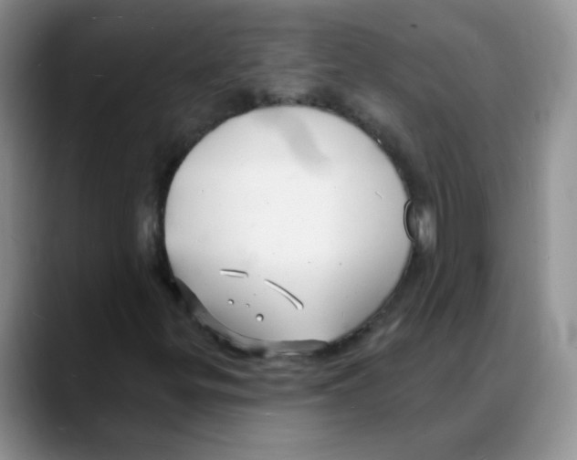 X0000088081299200706081721