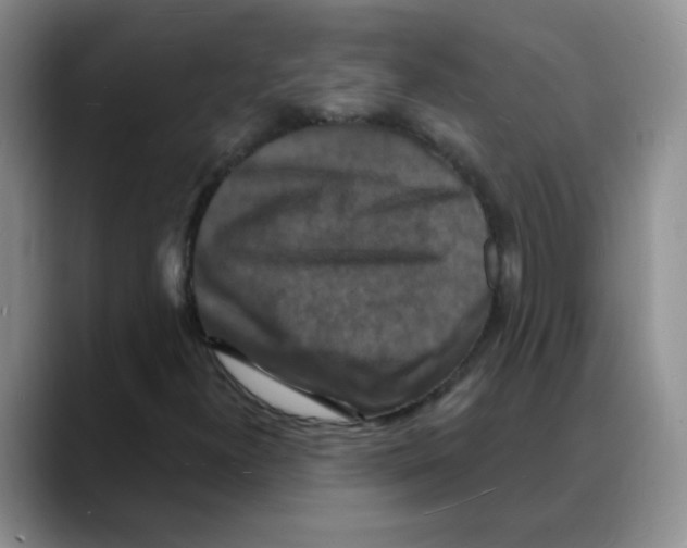 X0000088081300200706081721