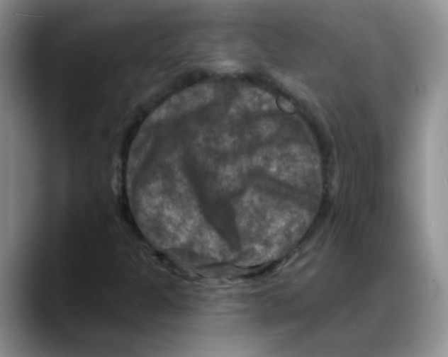 X0000088081301200706081721