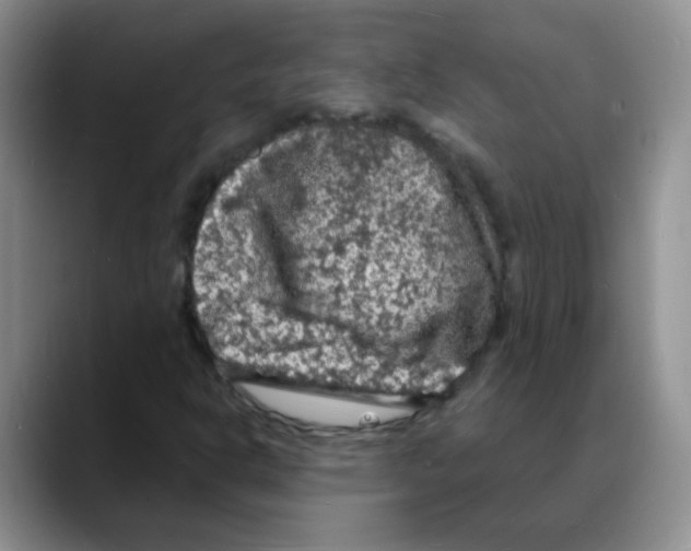 X0000088081302200706081721
