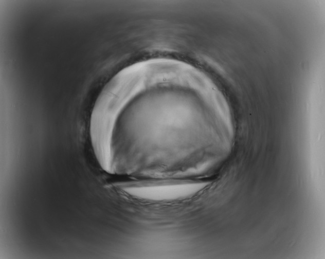 X0000088081303200706081721