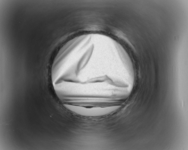 X0000088081304200706081721