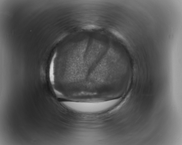 X0000088081305200706081721