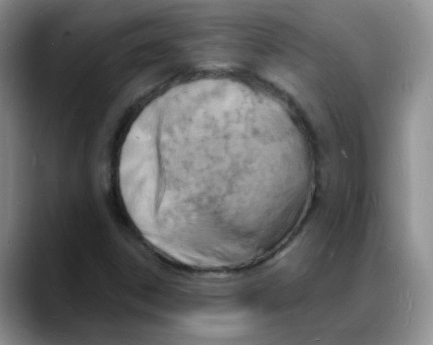 X0000088081306200706081721