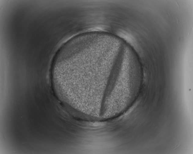X0000088081308200706081721